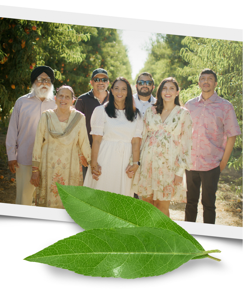 California peach growers